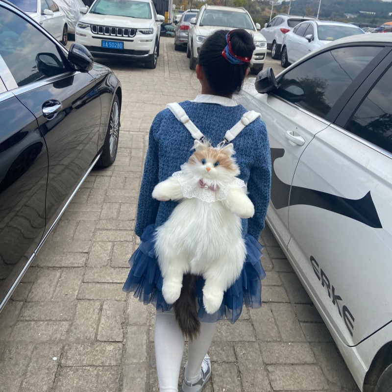 2026 Nieuw in voorraad Ragdoll - Travel Accessories Ideas recensie en prijs